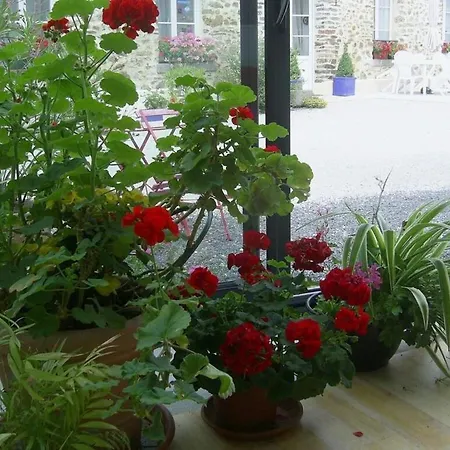 Semesterbostad La Vimonderie Comfortable