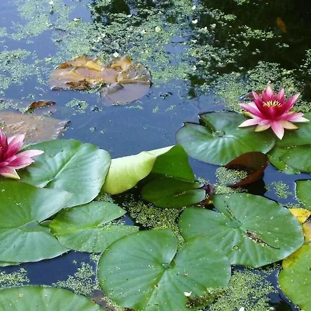 Дом отдыха La Vimonderie Comfortable