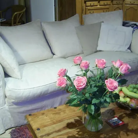 La Vimonderie Comfortable *