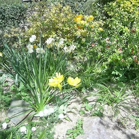 La Vimonderie Comfortable Дом отдыха