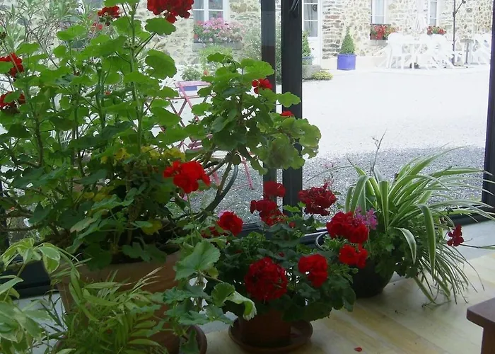 Semesterbostad La Vimonderie Comfortable