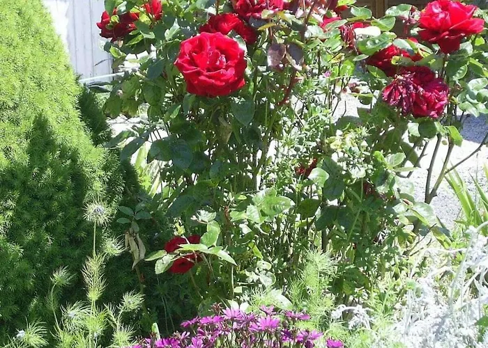 Tatil Evi La Vimonderie Comfortable *