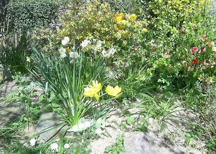 La Vimonderie Comfortable Tatil Evi